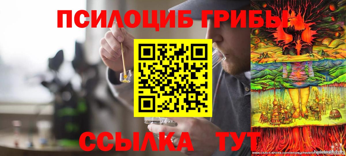 Нижний Новгород  Галлюциногенные грибы мицелий  Вход с VPN  Псилоцибиновые грибы Cubensis 